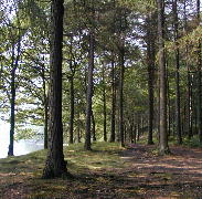 coniston