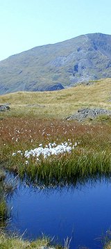 wetherlam